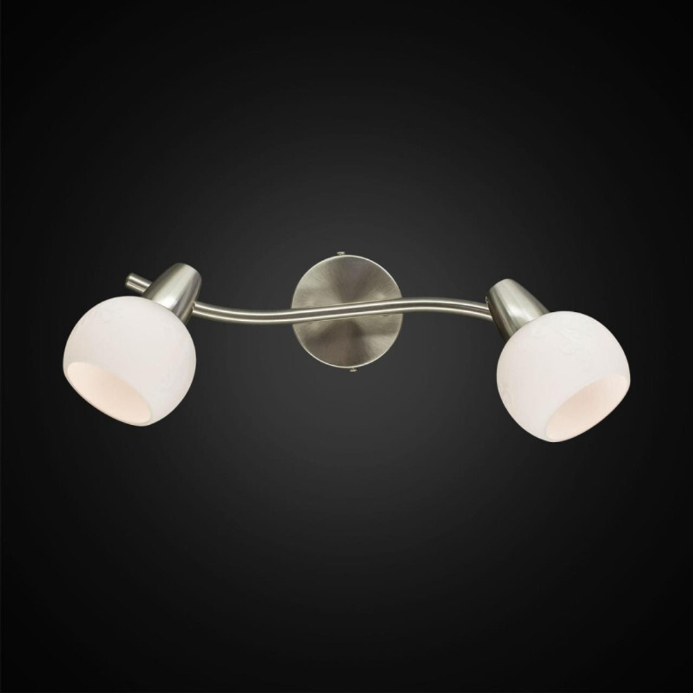 Спот Citilux CL520521