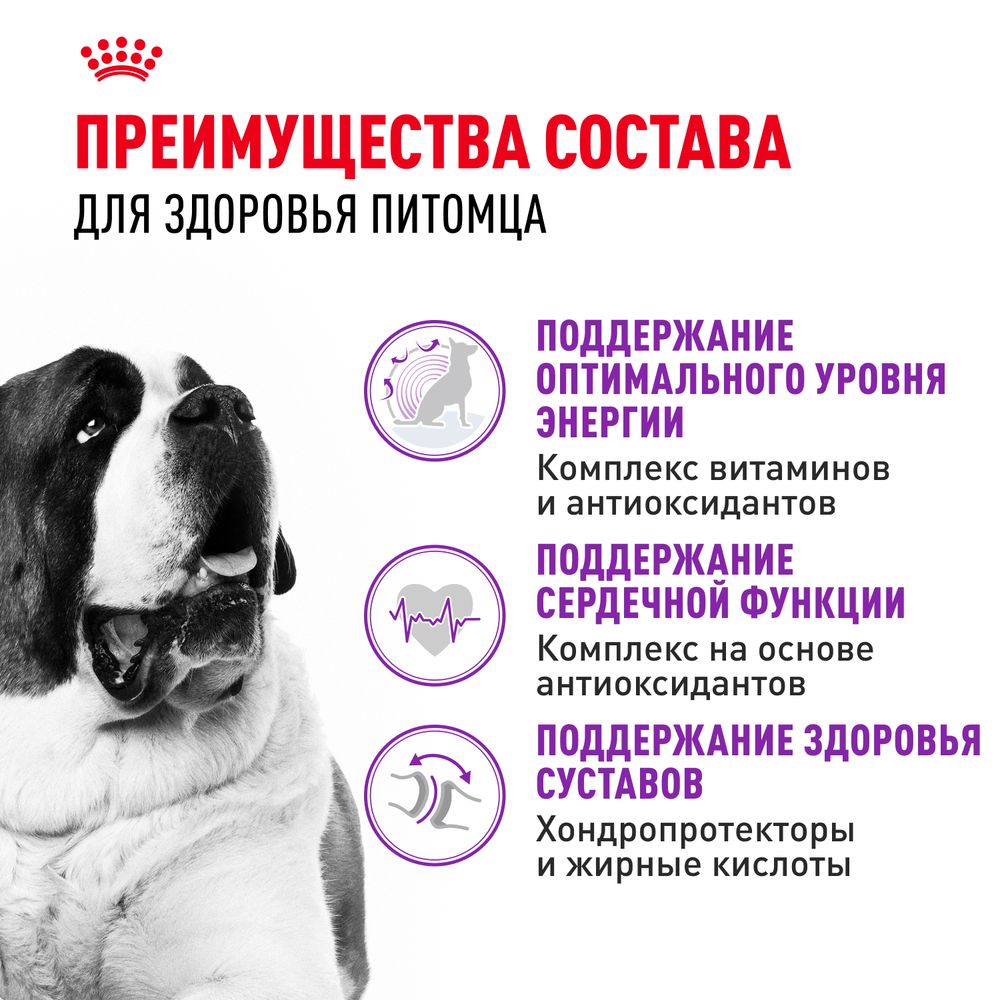Royal Canin Giant Adult Джайнт Эдалт Корм сухой для взрослых собак очень крупных пород от 18 месяцев 4кг