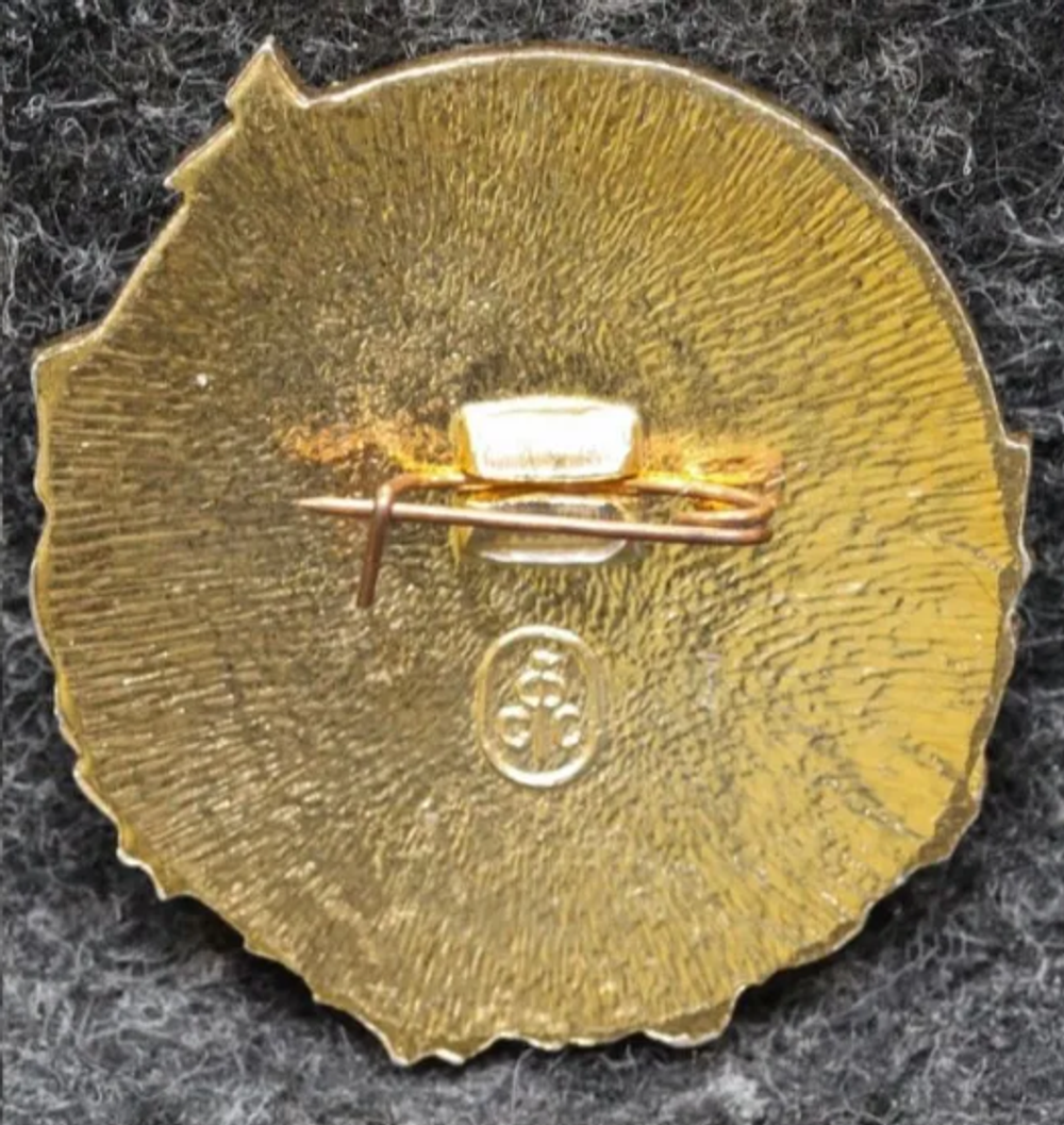 Значок СССР. Всероссийское общество охраны природы (ВООП)