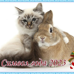 СИМВОЛ ГОДА 2023 СИМВОЛ ГОДА 2023