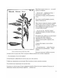 Гомункулус | Н.Н. Плавильщиков