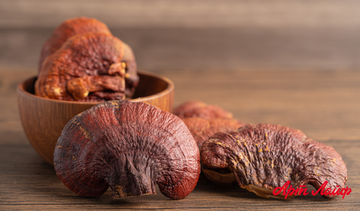 Медицинские грибы в комплексах артлайф