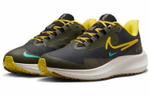 Кроссовки Nike Pegasus Turbo Shield