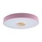 Потолочный светодиодный светильник Loft IT Axel 10003/24 pink