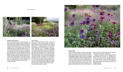 Planting: A New Perspective