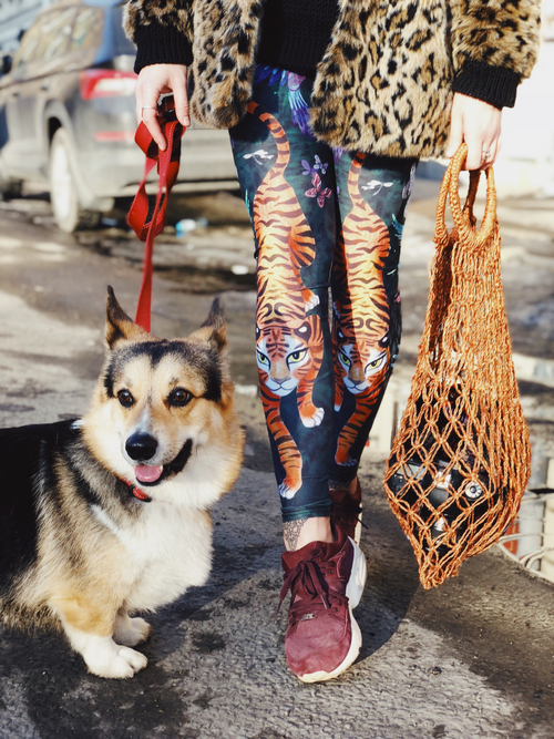 Леггинсы ТЕРМО Тигры