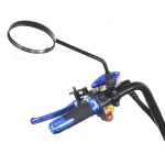 Электроскутер CityCoco Skyboard MyRussia (Маруся) BR60 3000W Trike