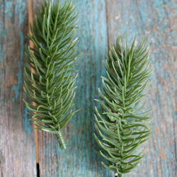 Еловая веточка базовая 9 см зеленая