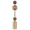 Настольная лампа Odeon Light Callisto Modern 5457/4TL
