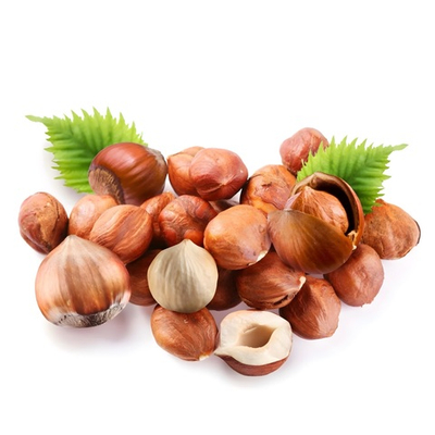 Фундук сырой очищенный