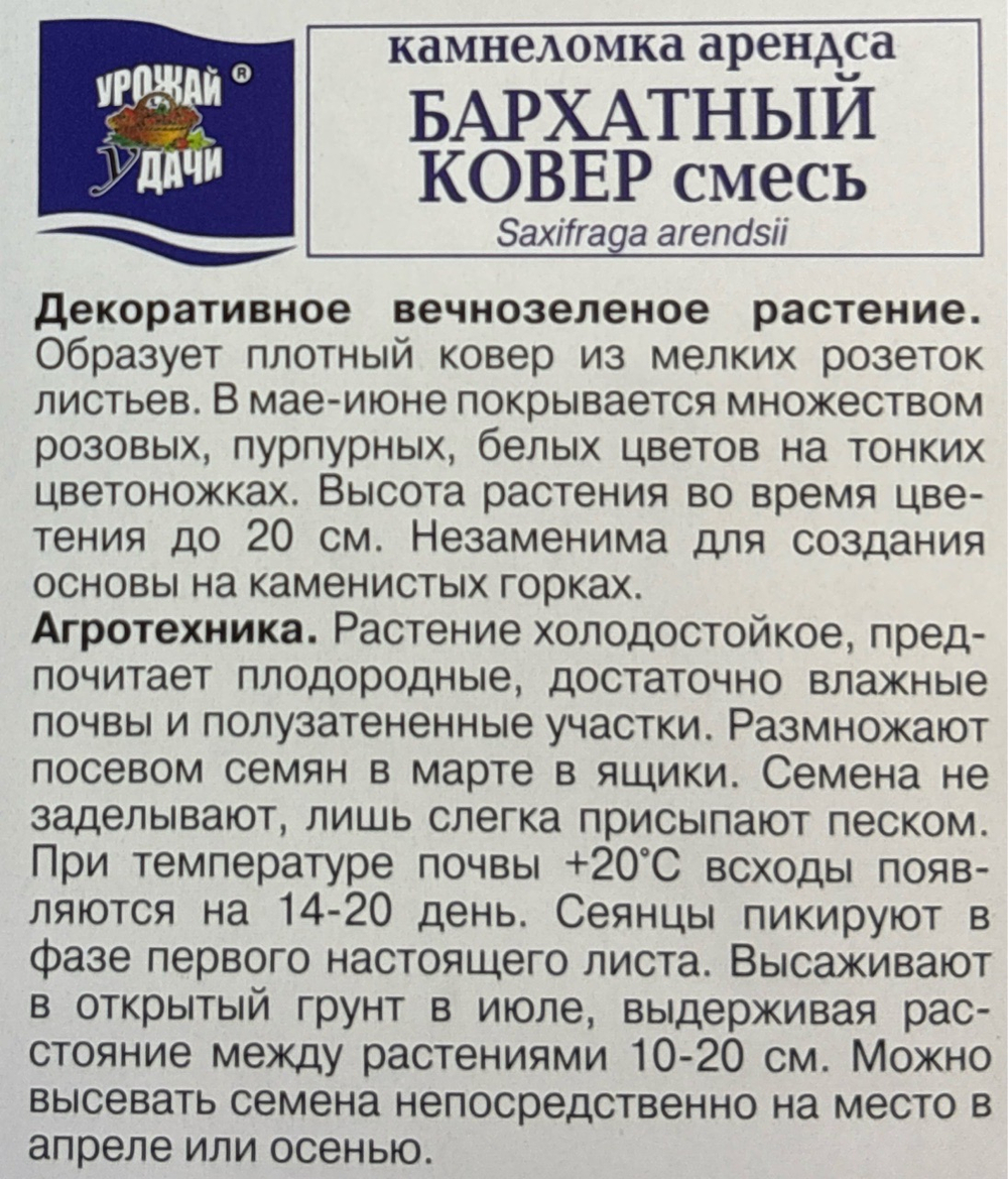 Камнеломка Бархатный ковер 0,01 г СМЦ-40
