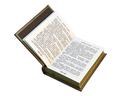 Святое Евангелие с иконой. Подарочный набор