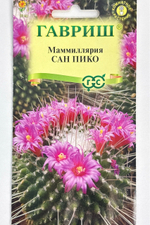 Маммиллярия Толука (Кактус) Сан пико 2 шт CМЦ-932