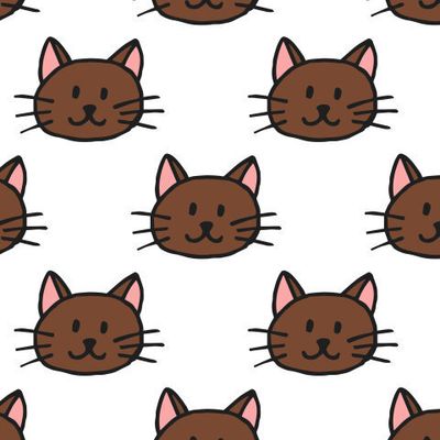 котики шоколадного цвета