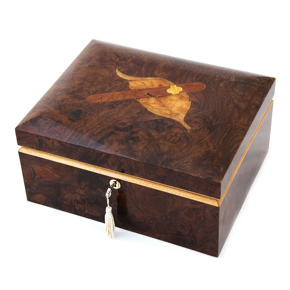 Хьюмидор Giglio GIG HUM 4