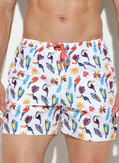 Мужские пляжные шорты с принтом в виде попугаев (Размер: L) (Цвет: белый)
