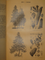 "Малый энциклопедический словарь Ф.А.Брокгауза и И.А.Ефрона в 4-х томах". Под редакцией И.Е.Андреевского, К.К.Арсеньева, Ф.Ф.Петрушевского. 1909г.