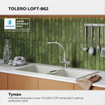 Мойка TOLERO LOFT TL-862 белый №923 (туман)