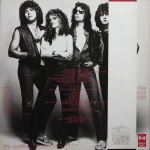 Headpins / Line Of Fire (LP)