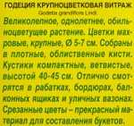 Годеция Витраж 0,1 г СМЦ-378