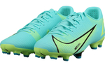 Кроссовки Nike Mercurial Vapor 14