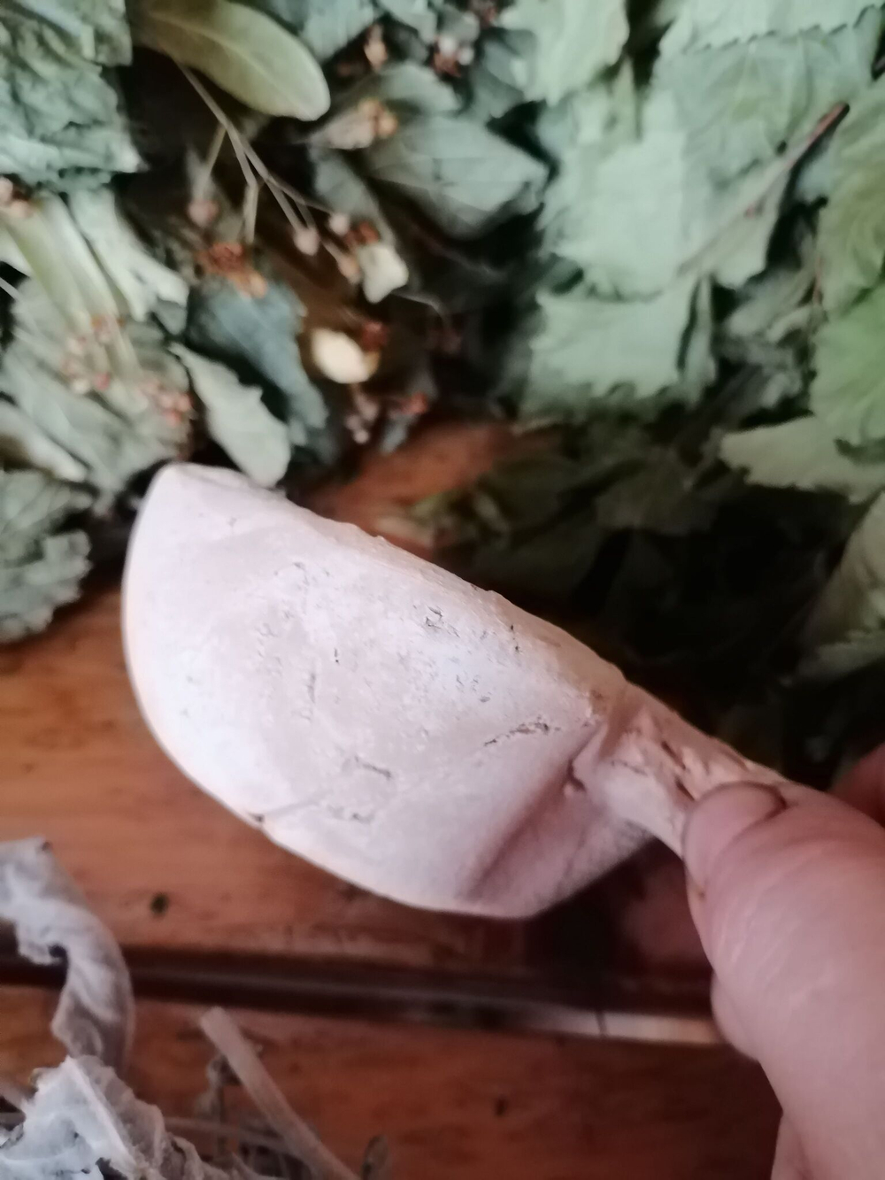 Испаритель, парообразователь, ароматизатор для бани, сауны, тыква