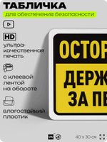 Табличка для обеспечения безопасности "Осторожно, держитесь за перила", для офиса, по охране труда для предприятия, организаций, 40х30 см, Silver Plane x Айдентика Технолоджи