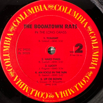 The Boomtown Rats ‎– In The Long Grass (США 1984г.)