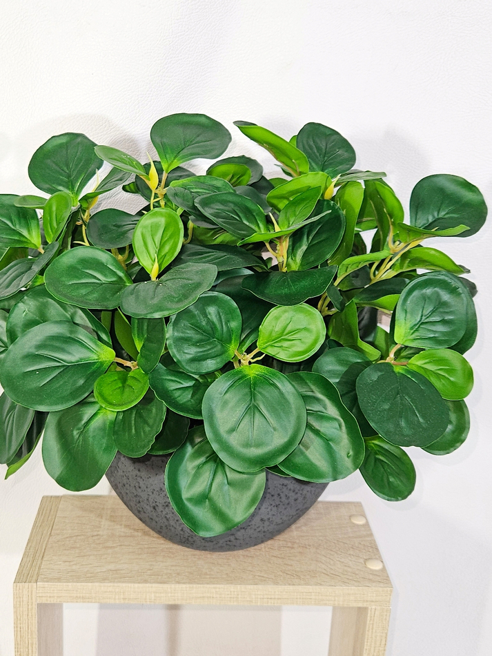 Пеперомия искусственная зеленая 35см в кашпо Лофт