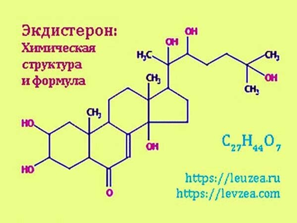 Экдистерон - химическая структура и химическая формула