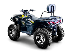 Квадроцикл BIZON ZX350