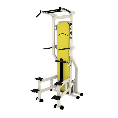 Гравитрон NL13