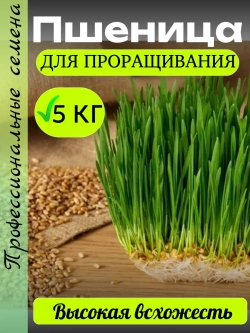 Пшеница для проращивания 5 кг