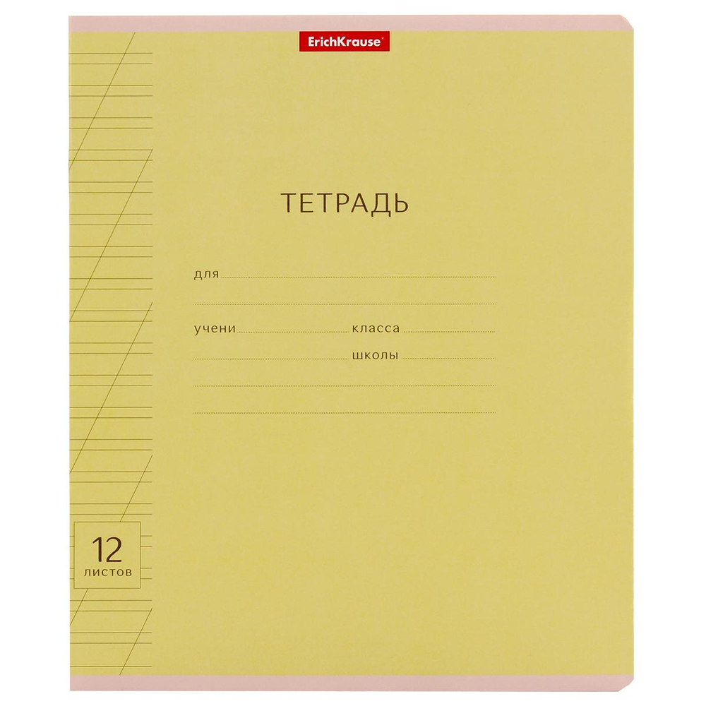 Тетрадь школьная А5 12л косая линия,ассорт "Классика Visio" (Полиграфика) микс цветов (комплект 5 шт)