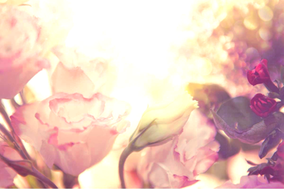 Священная Алхимическая Музыкальная Церемония «Открываем Небесные Врата»