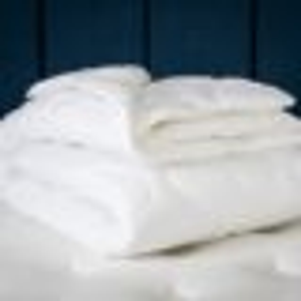 Одеяло классическое PROSON