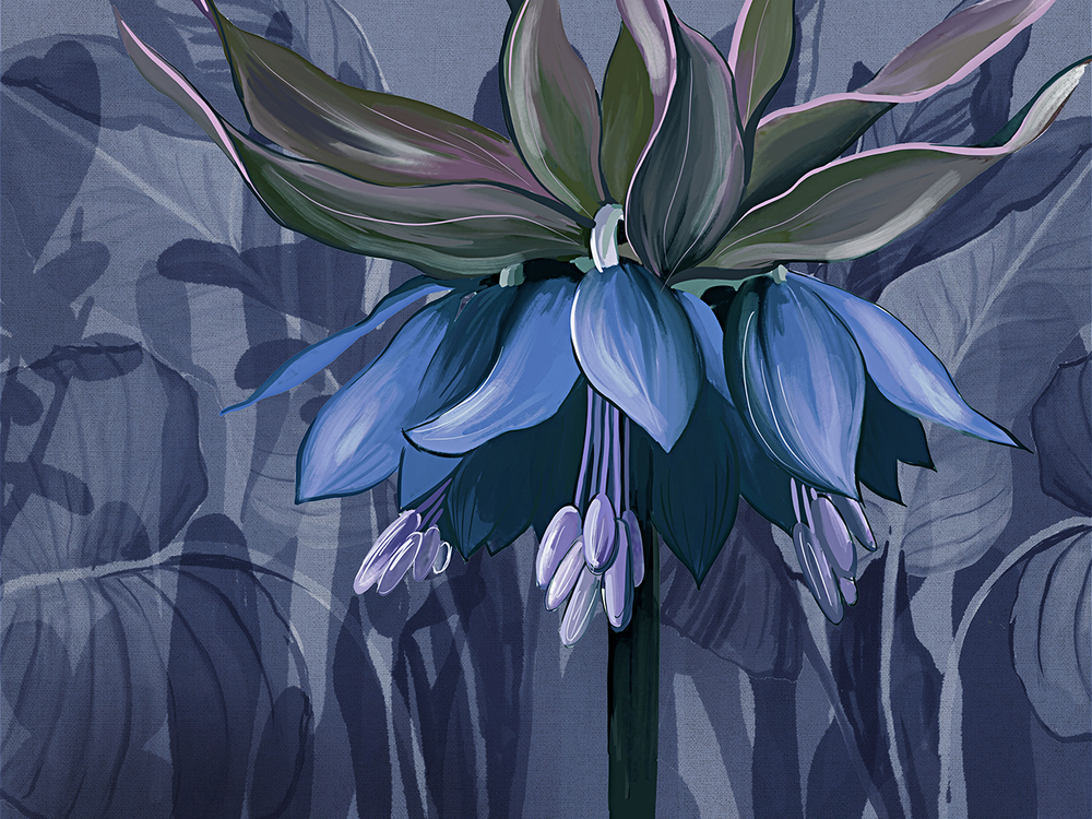 Коллекция SOLO