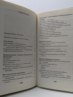 Лабиринты ума