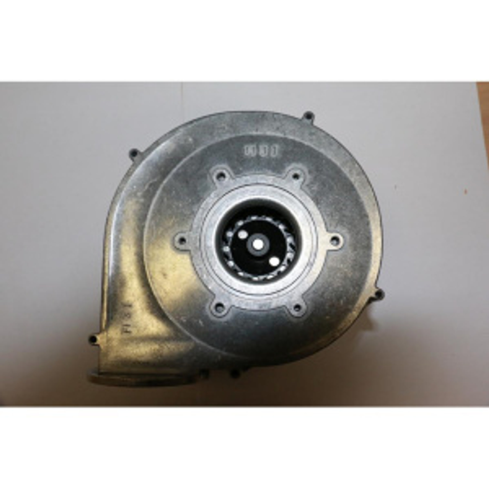czjv1hvch286qxheirszlrn02eu1a18v_-494781818.jpg