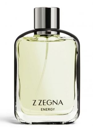 Ermenegildo Zegna Z Zegna Energy