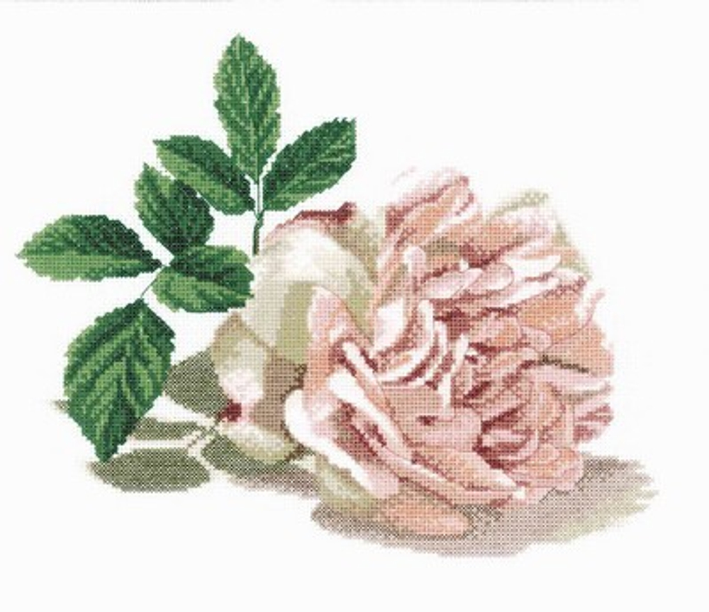 "Роза"-M297  вышивка