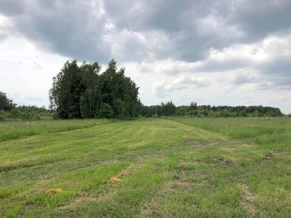 В «Романовском Парке – 2» проведен окос улиц