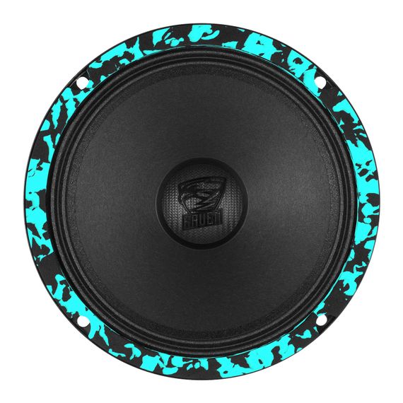 DL Audio Raven 165 V.3