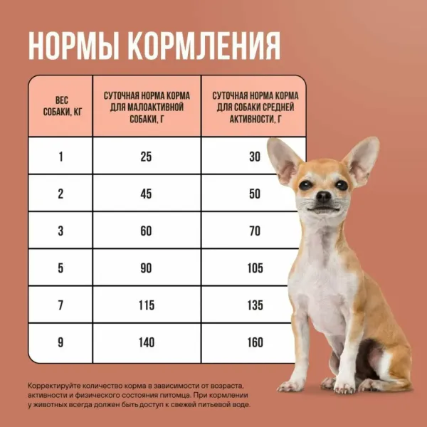 Сухой корм BOWL WOW для взрослых собак мелких пород с ягненком, индейкой, рисом и добавлением тыквы