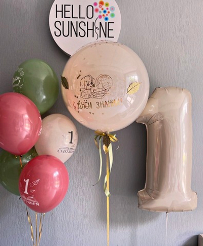 Набор шаров на 1 сентября №1
