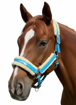 Недоуздок TGW (СОВ, FULL)