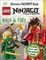LEGO NINJAGO Ninja &amp; Foes Ultimate Factivity Book