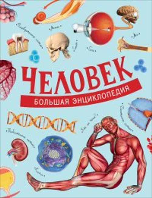 Д. Маттарэлли, Э. Пальяри, С. Папи и др. Человек. Большая энциклопедия И