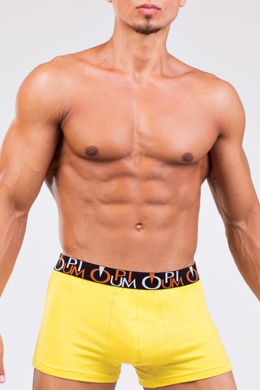 Мужские трусы R-117 Желтый
