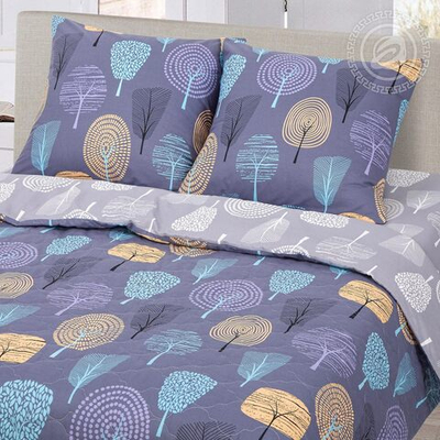 Постельное белье ЗИМА-ЛЕТО 1,5 спальное Фэнтези 600 АРТПОСТЕЛЬ